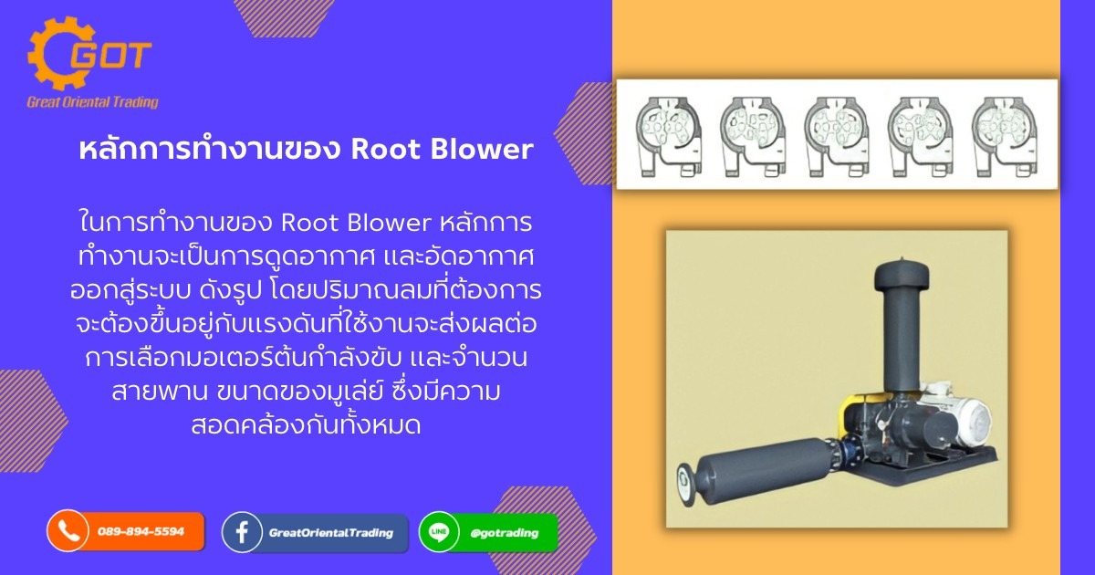 หลักการทำงานของ Root Blower ในการทำงานของ Root Blower หลักการทำงานจะเป็นการดูดอากาศ และอัดอากาศออกสู่ระบบ