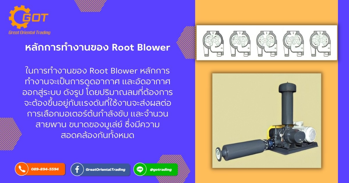 หลักการทำงานของ Root Blower ในการทำงานของ Root Blower หลักการทำงานจะเป็นการดูดอากาศ และอัดอากาศออกสู่ระบบ หลักการทำงานของ Root Blower ในการทำงานของ Root Blower หลักการทำงานจะเป็นการดูดอากาศ และอัดอากาศออกสู่ระบบ