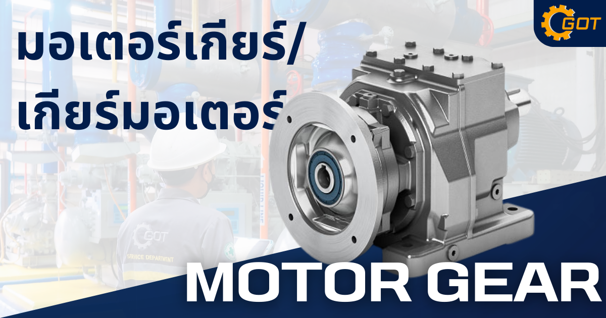 Motor Gear/มอเตอร์เกียร์/เกียร์มอเตอร์ Gear motor