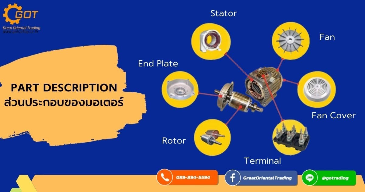 Stator (สเตเตอร์) : โครงของมอเตอร์แกนเหล็กและขดลวด , End Plate : ฝาครอบมอเตอร์ ,Rotor (โรเตอร์) : มีขดลวดตัวนำพันอยู่โดยรอบ, Fan : ใบพัดท้ายมอเตอร์, Fan Cover : ฝาครอบพัดลมท้ายมอเตอร์ ,Terminal : เทอร์มินอลหัวเหล็ก Stator (สเตเตอร์) : โครงของมอเตอร์แกนเหล็กและขดลวด , End Plate : ฝาครอบมอเตอร์ ,Rotor (โรเตอร์) : มีขดลวดตัวนำพันอยู่โดยรอบ, Fan : ใบพัดท้ายมอเตอร์, Fan Cover : ฝาครอบพัดลมท้ายมอเตอร์ ,Terminal : เทอร์มินอลหัวเหล็ก