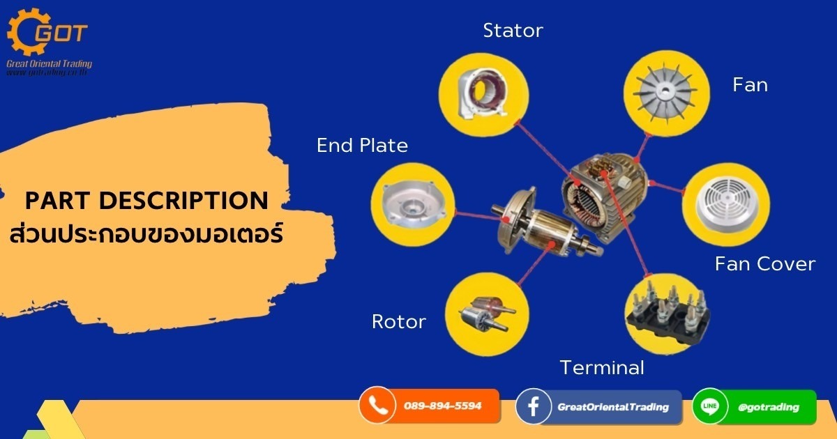 Stator (สเตเตอร์) : โครงของมอเตอร์แกนเหล็กและขดลวด , End Plate : ฝาครอบมอเตอร์  ,Rotor (โรเตอร์) : มีขดลวดตัวนำพันอยู่โดยรอบ, Fan : ใบพัดท้ายมอเตอร์, Fan Cover : ฝาครอบพัดลมท้ายมอเตอร์  ,Terminal : เทอร์มินอลหัวเหล็ก