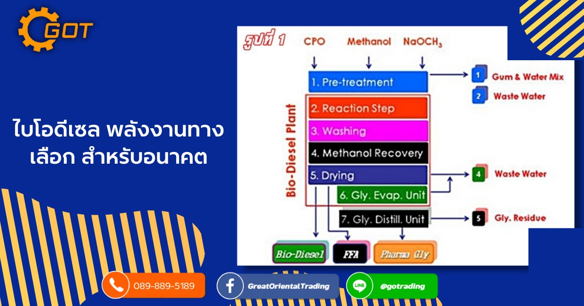 ไบโอดีเซล พลังงานทางเลือก สำหรับอนาคต  ปัจจุบันน้ำมันรถยนต์ที่เราใช้บนท้องถนน มีมากมายหลายชนิด เช่น เบนซิน ดีเซล แก็สโซฮอล หรือแม้กระทั่งเดี๋ยวนี้คิดค้นการใช้น้ำ มาเป็นเชื้อเพลิงรถยนต์แล้ว แต่ในที่นี้เราจะพูดถึง น้ำมันไบโอดีเซล เพื่อนำมาใช้ทดแทนน้ำมันดีเซลได้ ไบโอดีเซลเป็นเชื้อเพลิงเหลว