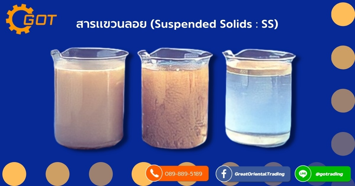 สารแขวนลอย (Suspended Solids : SS) เป็นอนุภาคสารที่มีขนาดใหญ่ในตัวกลาง แต่อนุภาคสารไม่ละลาย และแขวนลอยอยู่ในตัวกลาง สามารถมองเห็นอนุภาคได้ด้วยตาเปล่า และสามารถแยกอนุภาคของสารได้อย่างชัดเจน สารแขวนลอย (Suspended Solids : SS) เป็นอนุภาคสารที่มีขนาดใหญ่ในตัวกลาง แต่อนุภาคสารไม่ละลาย และแขวนลอยอยู่ในตัวกลาง สามารถมองเห็นอนุภาคได้ด้วยตาเปล่า และสามารถแยกอนุภาคของสารได้อย่างชัดเจน