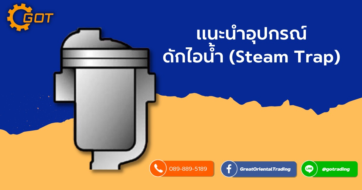 แนะนำอุปกรณ์ดักไอน้ำ(Steam Trap) ประเภทเทอร์โมไดนามิค อุปกรณ์ดักไอน้ำแบบลูกลอย อุปกรณ์ดักไอน้ำแบบถ้วย อุปกรณ์ดักไอน้ำแบบเบลโล อุปกรณ์ดักไอน้ำแบบโลหะสองชนิด แนะนำอุปกรณ์ดักไอน้ำ(Steam Trap) ประเภทเทอร์โมไดนามิค อุปกรณ์ดักไอน้ำแบบลูกลอย อุปกรณ์ดักไอน้ำแบบถ้วย อุปกรณ์ดักไอน้ำแบบเบลโล อุปกรณ์ดักไอน้ำแบบโลหะสองชนิด