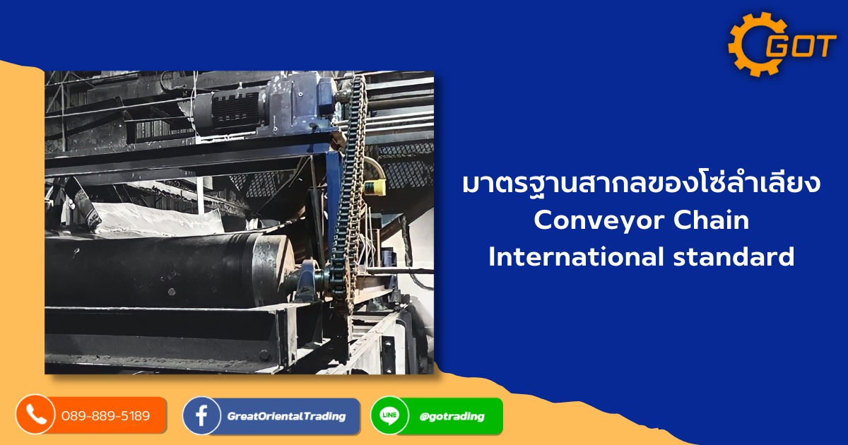 มาตรฐานของโซ่ลำเลียง(Conveyor Chain) ก็คล้ายกับมาตรฐานของโซ่ส่งกำลัง (TransmissionChain) มีการทำมาตรฐาน ไว้หลายมาตรฐานแล้วแต่ว่า ประเทศไหนที่จะมีอิทธิพลกำหนดมาตรฐานของตนเอง มาตรฐานของโซ่ลำเลียง(Conveyor Chain) ก็คล้ายกับมาตรฐานของโซ่ส่งกำลัง (TransmissionChain) มีการทำมาตรฐาน ไว้หลายมาตรฐานแล้วแต่ว่า ประเทศไหนที่จะมีอิทธิพลกำหนดมาตรฐานของตนเอง