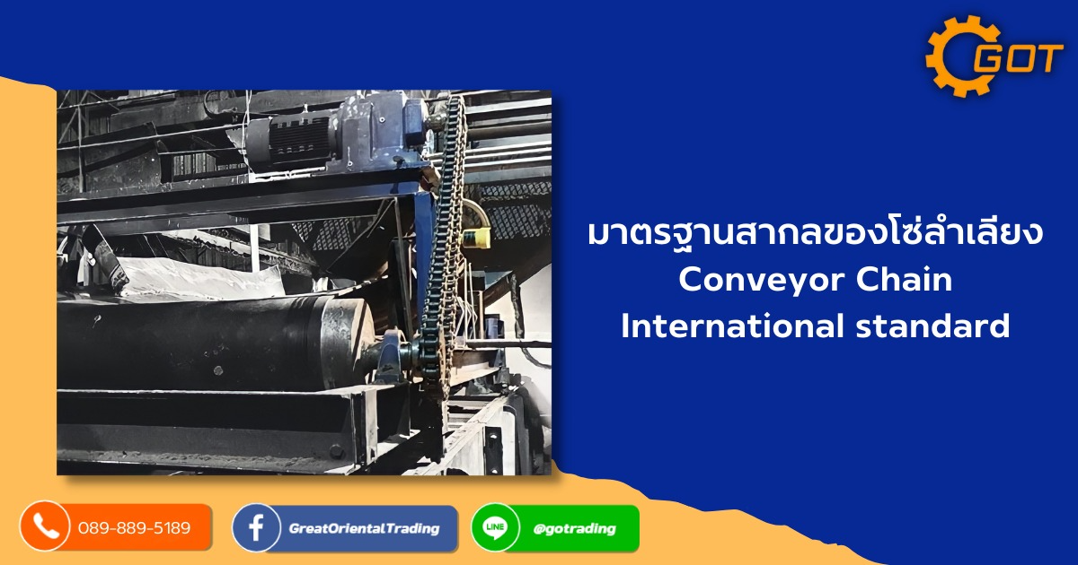 มาตรฐานของโซ่ลำเลียง(Conveyor Chain) ก็คล้ายกับมาตรฐานของโซ่ส่งกำลัง (TransmissionChain) มีการทำมาตรฐาน ไว้หลายมาตรฐานแล้วแต่ว่า ประเทศไหนที่จะมีอิทธิพลกำหนดมาตรฐานของตนเอง