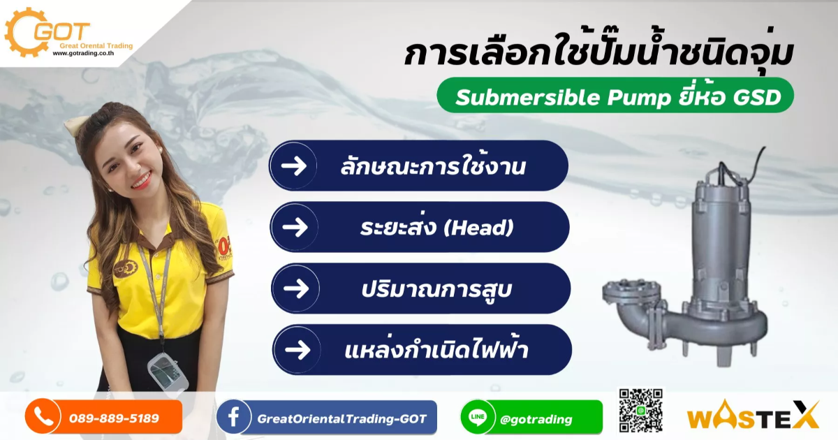การเลือกใช้ ,ปั๊มไดโว่ ,ปั๊มจุ่ม การเลือกใช้ ,ปั๊มไดโว่ ,ปั๊มจุ่ม