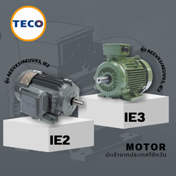 TECO MOTOR