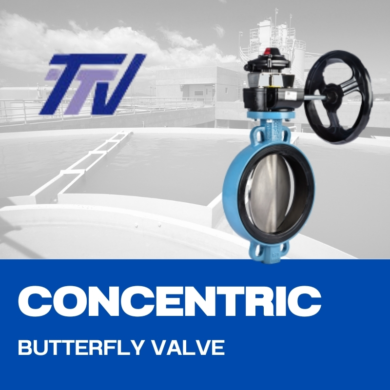 TTV CONCENTRIC BUTTERFLY VALVE
