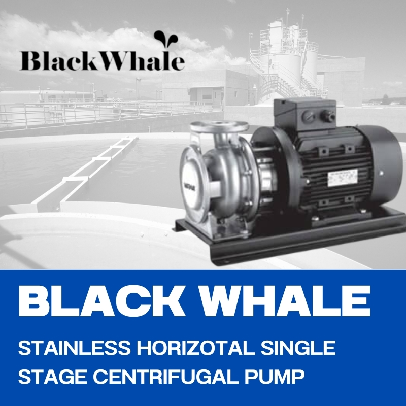 BLACKWHALE STAINLESS HORIZOTAL SINGLE STAGE CENTRIFUGAL PUMP/ปั๊มสแตนเลสแนวนอนแบบใบพัดเดียว แบล๊กเวล