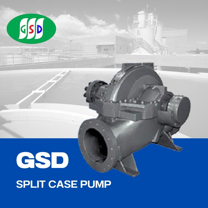 GSD SPLIT CASE PUMP