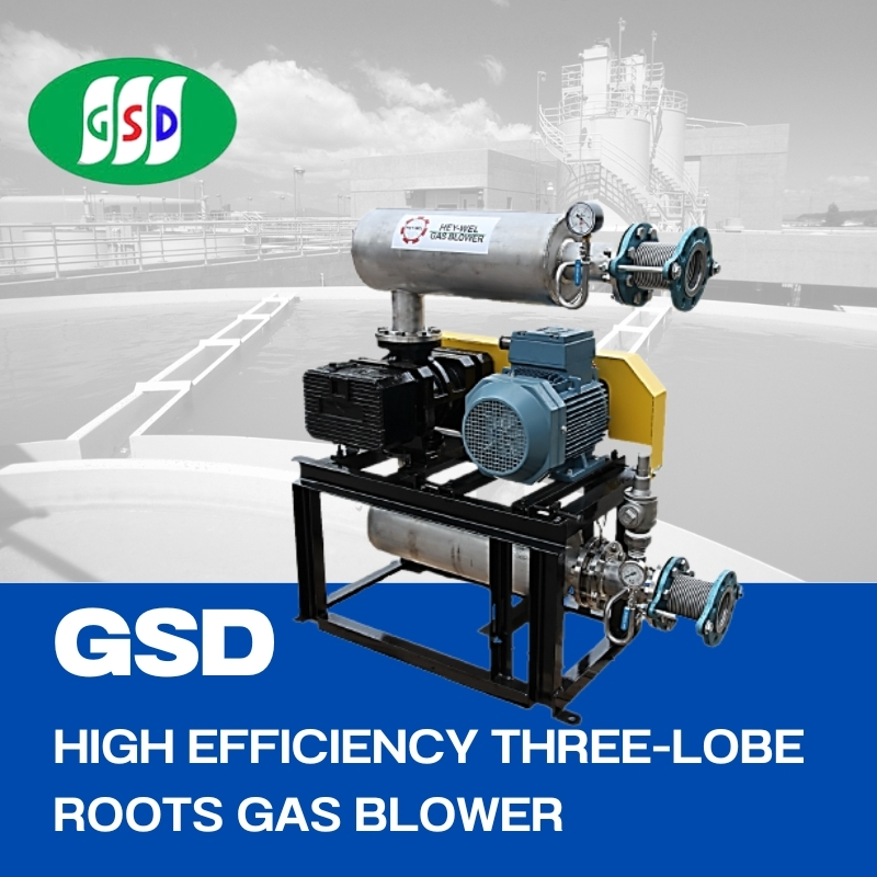 GSD High Efficiency Three-Lobe Roots Gas Blower