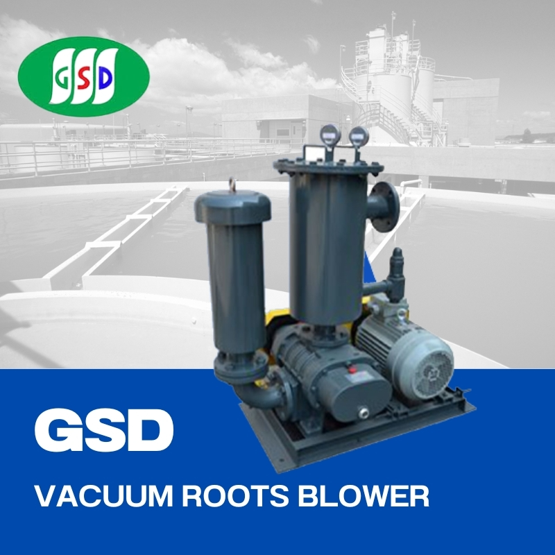 GSD Vacuum Roots Blower